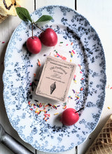 Load image into Gallery viewer, Old Fashioned Ice Cream Parlor Wax Melt