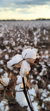 Load and play video in Gallery viewer, Cotton Candle
